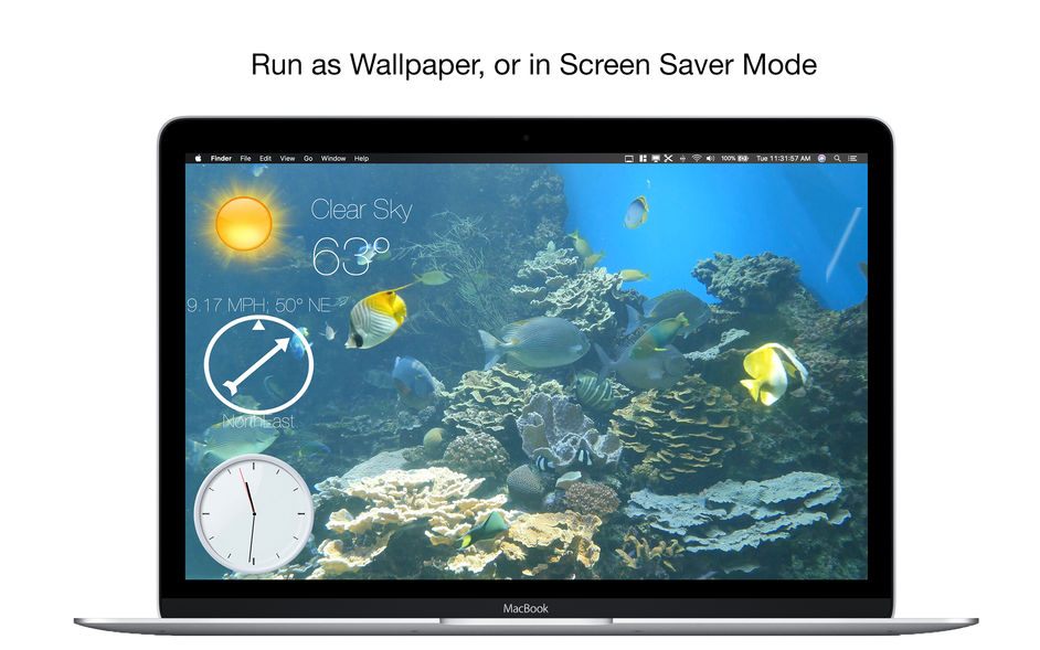 Aquarium 4K - Live Wallpaper 1.0.4 for Mac|Mac版下载 | 4K高清动态壁纸