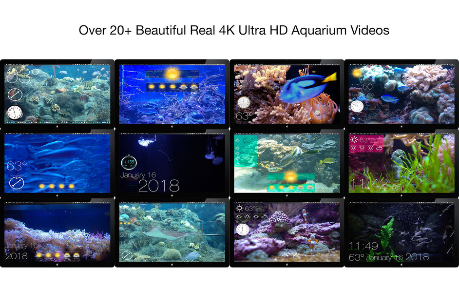 Aquarium 4K - Live Wallpaper 1.0.4 for Mac|Mac版下载 | 4K高清动态壁纸