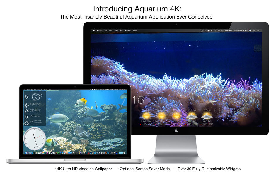 Aquarium 4K - Live Wallpaper 1.0.4 for Mac|Mac版下载 | 4K高清动态壁纸