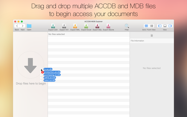 ACCDB MDB Explorer 2.4.7 for Mac|Mac版下载 | 数据库查看浏览工具