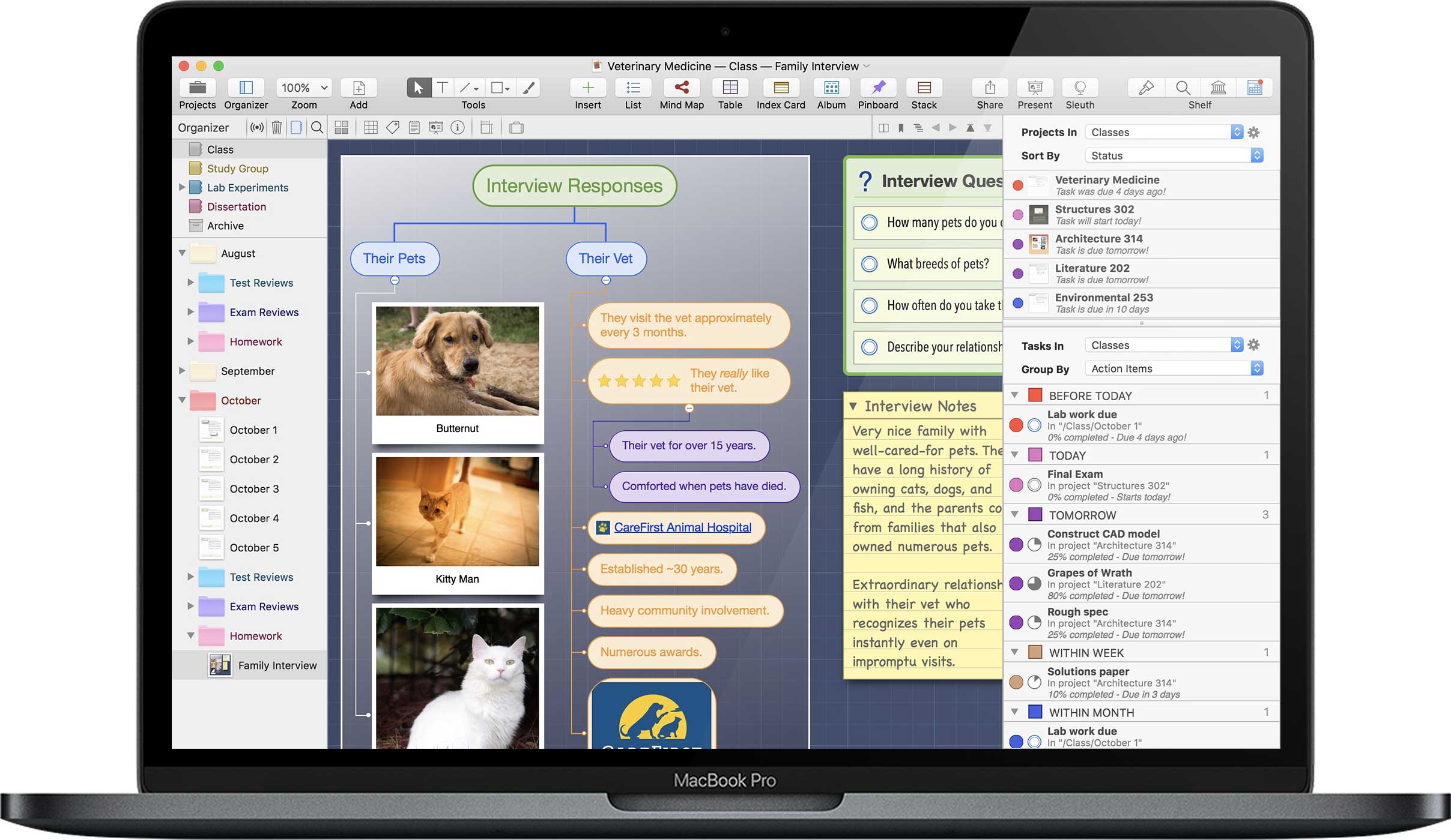 Curio Pro 13.2 for Mac|Mac版下载 | 思维导图软件