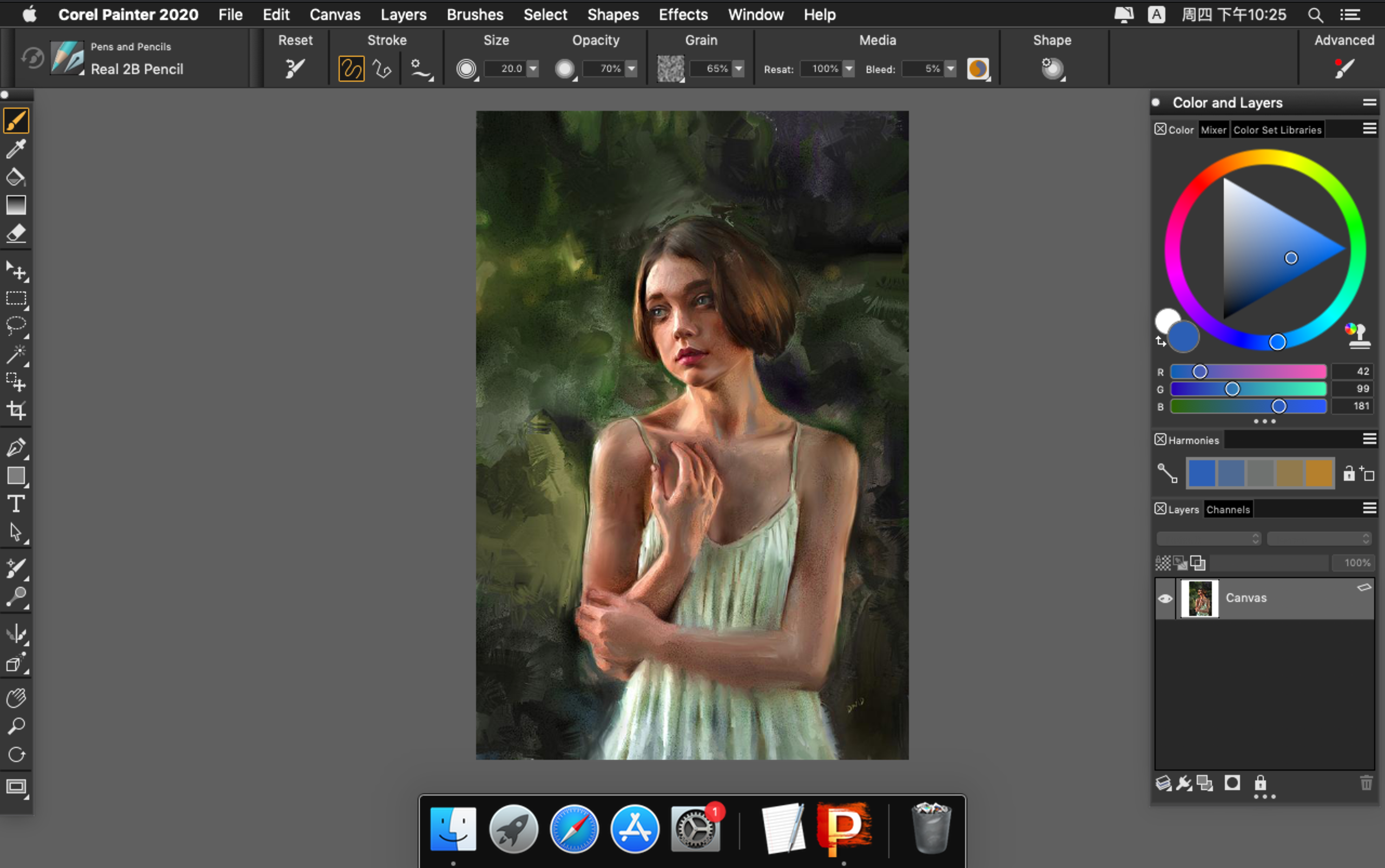 Corel Painter 2020 20.0.0 for Mac|Mac版下载 | 电脑美术绘画软件
