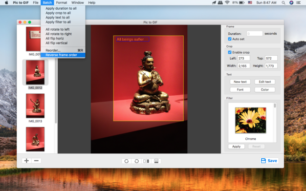 Pic to GIF 1.1.0 for Mac|Mac版下载 | GIF动画制作工具