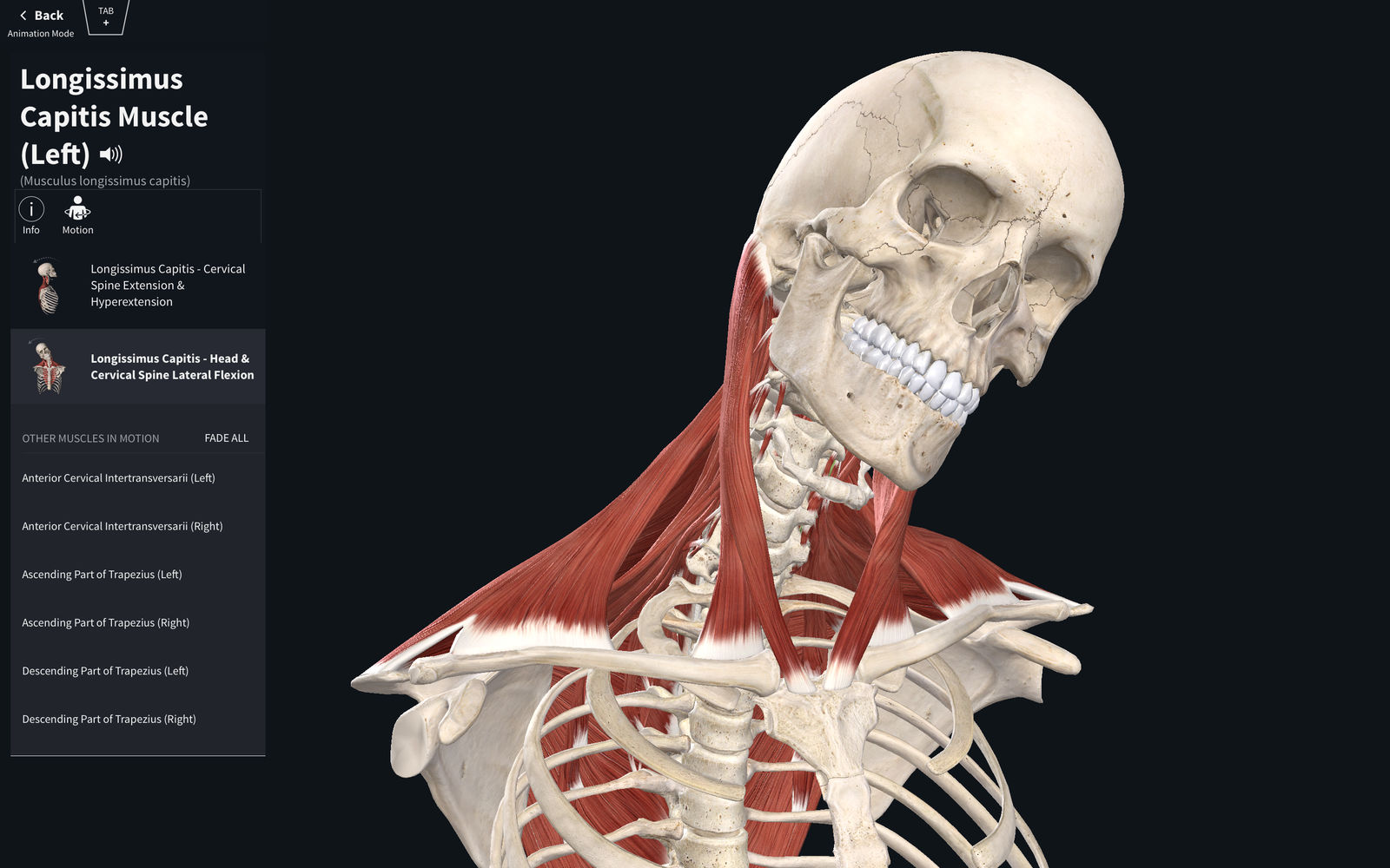 Complete Anatomy 2019 4.0.1 for Mac|Mac版下载 | 医学三维人体解剖软件