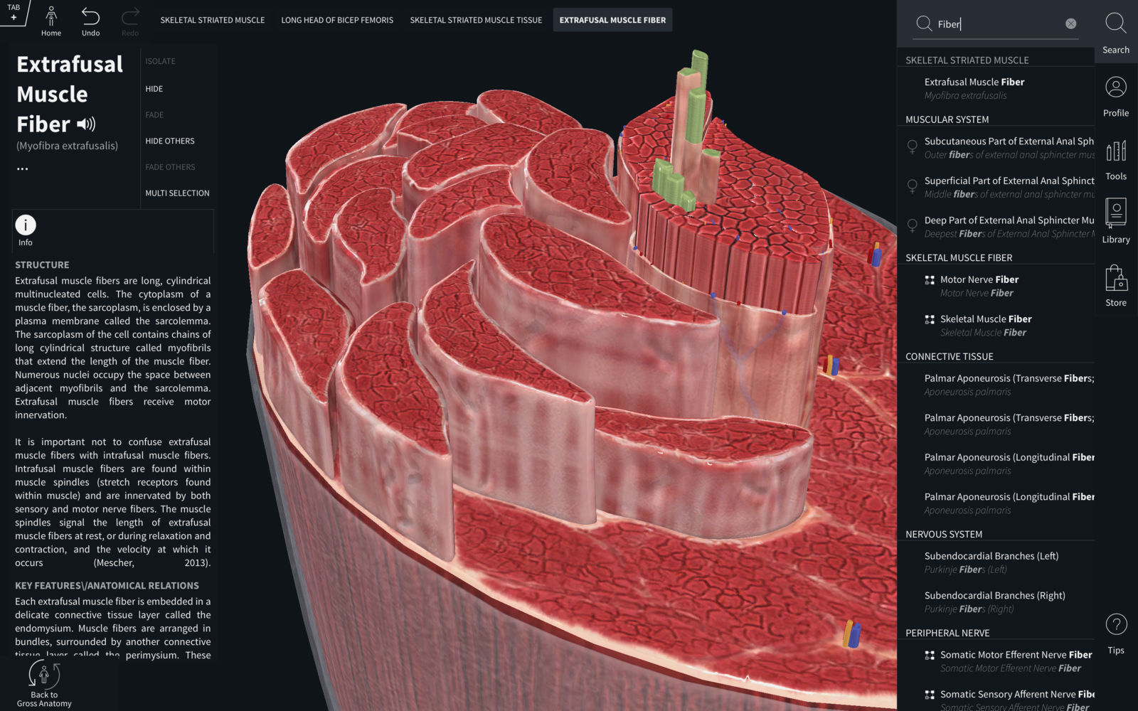 Complete Anatomy 2019 4.0.1 for Mac|Mac版下载 | 医学三维人体解剖软件