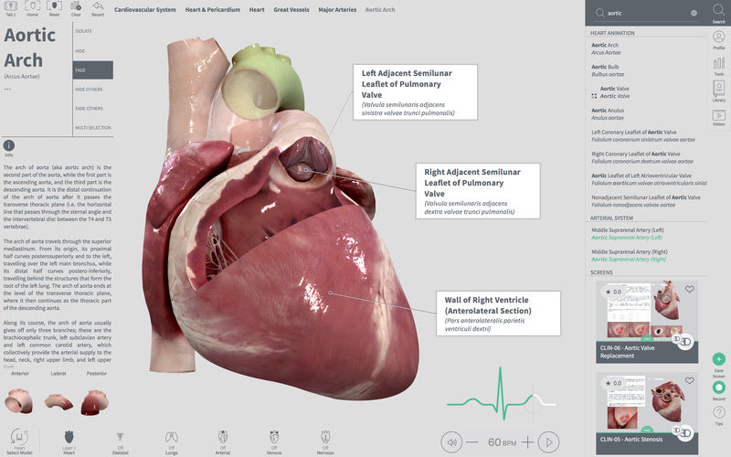 Complete Heart 1.2 for Mac|Mac版下载 | 3D心脏解剖图
