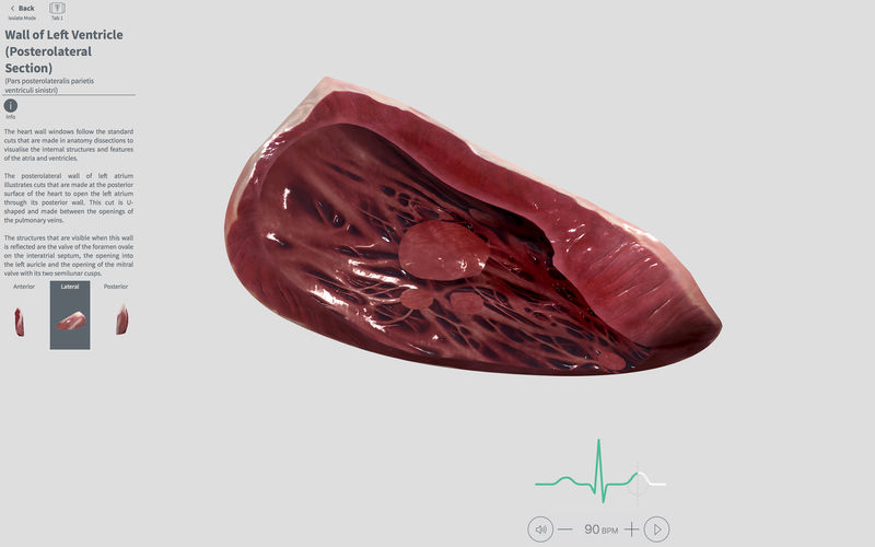 Complete Heart 1.2 for Mac|Mac版下载 | 3D心脏解剖图