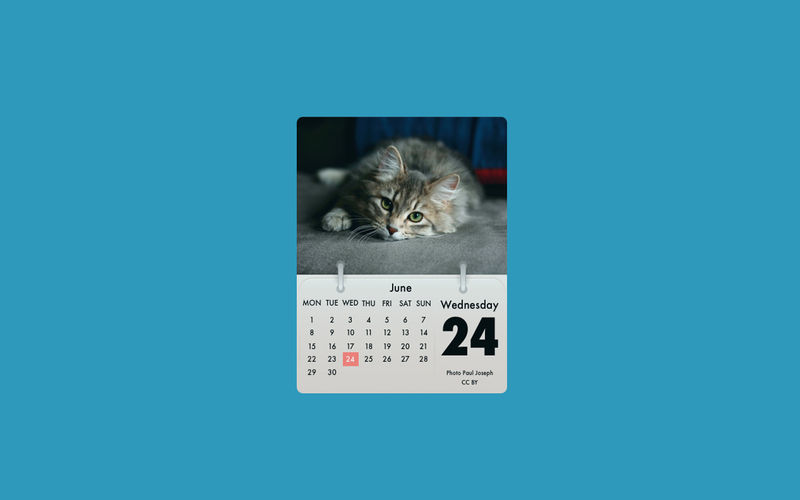 Cal Cat 1.9 for Mac|Mac版下载 | 猫咪日历
