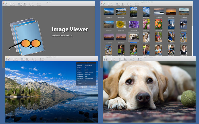 Image Viewer 2.1 for Mac|Mac版下载 | 图象浏览软件