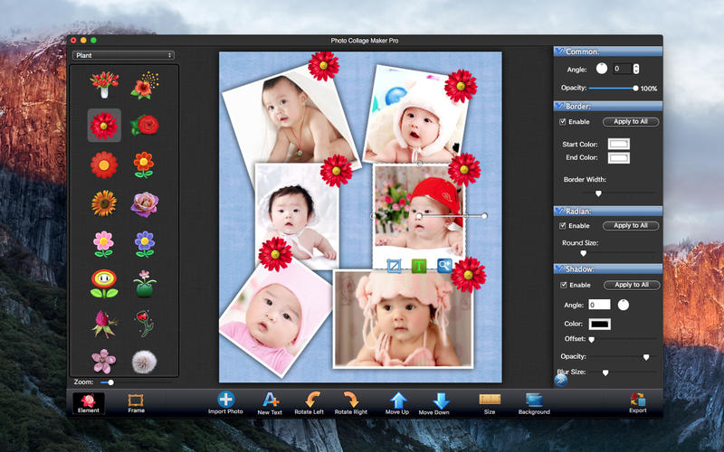 Photo Collage Maker Pro 3.2.3 for Mac|Mac版下载 | 趣味拼贴画照片软件