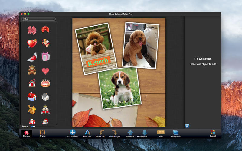 Photo Collage Maker Pro 3.2.3 for Mac|Mac版下载 | 趣味拼贴画照片软件