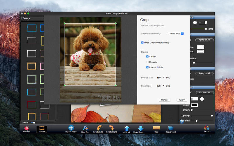 Photo Collage Maker Pro 3.2.3 for Mac|Mac版下载 | 趣味拼贴画照片软件