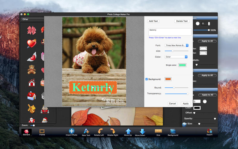 Photo Collage Maker Pro 3.2.3 for Mac|Mac版下载 | 趣味拼贴画照片软件