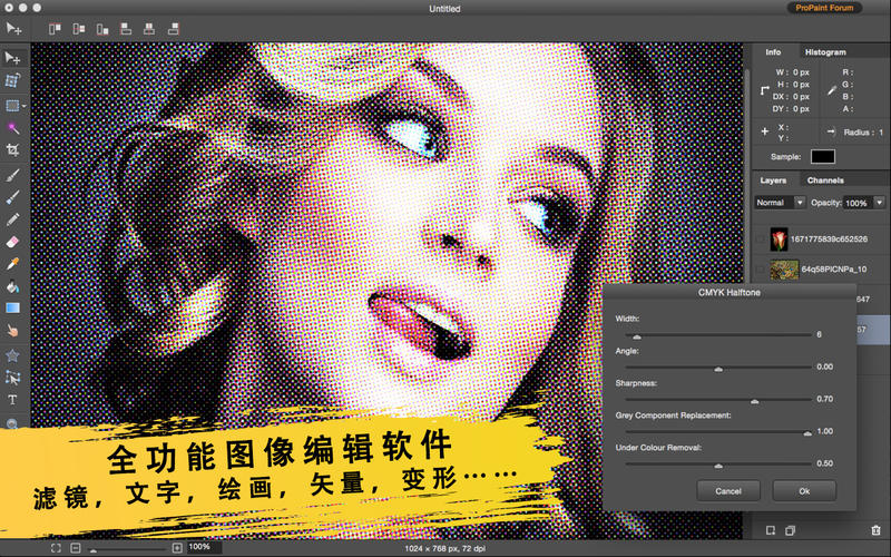 图片编辑Pro Paint 3.6 for Mac|Mac版下载 | 图像编辑软件