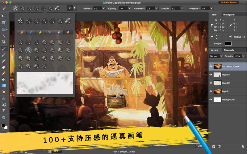 图片编辑Pro Paint 3.6 for Mac|Mac版下载 | 图像编辑软件