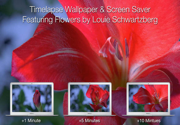 Magic Flowers 2.1 for Mac|Mac版下载 | 