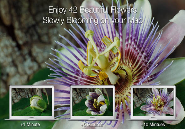 Magic Flowers 2.1 for Mac|Mac版下载 | 