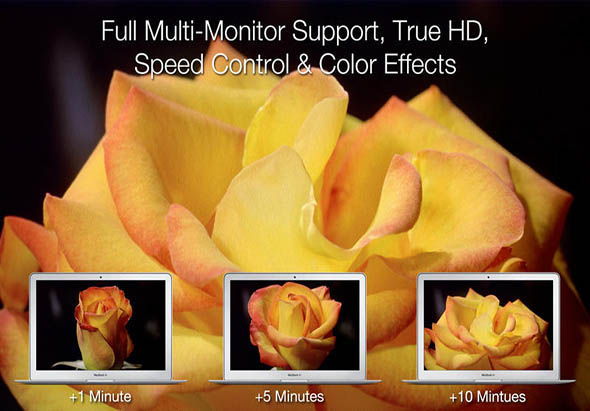 Magic Flowers 2.1 for Mac|Mac版下载 | 