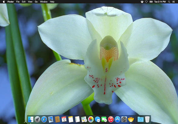 Magic Flowers 2.1 for Mac|Mac版下载 | 