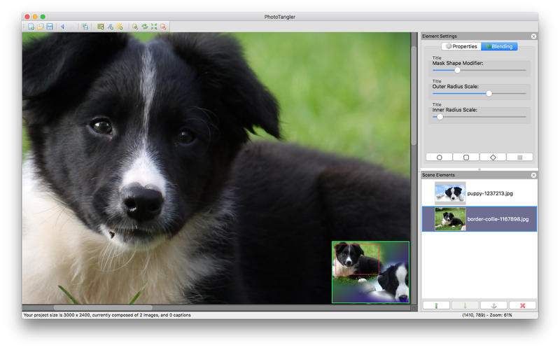 PhotoTangler 2.1.0 for Mac|Mac版下载 | 