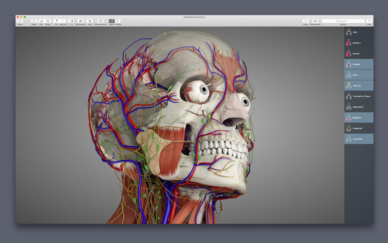 Essential Anatomy 5 5.0.5 for Mac|Mac版下载 | 