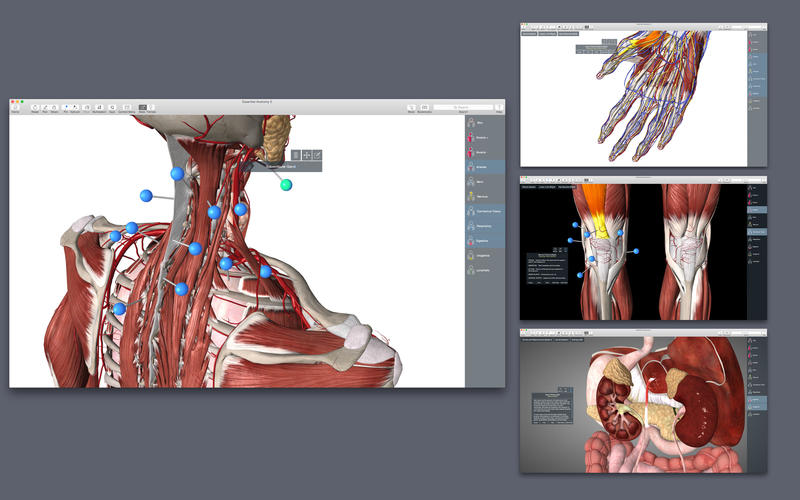 Essential Anatomy 5 5.0.5 for Mac|Mac版下载 | 