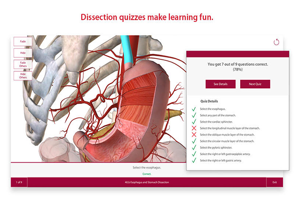 Anatomy & Physiology 3.0.17 for Mac|Mac版下载 | 