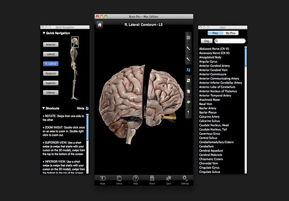 Brain Pro 1.0 for Mac|Mac版下载 | 