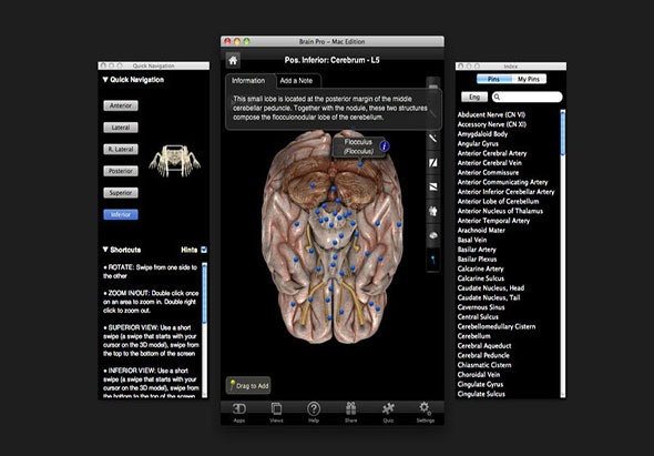Brain Pro 1.0 for Mac|Mac版下载 | 