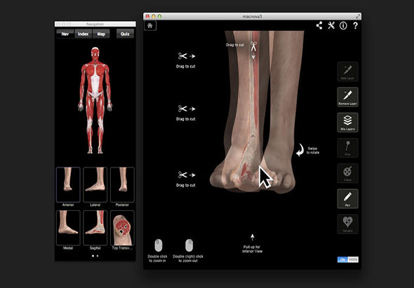 Ankle & Foot Pro III 3.8 for Mac|Mac版下载 | 