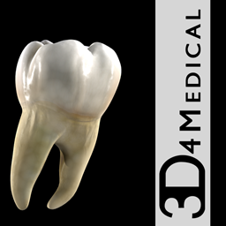 Dental Patient Education 1.1 for Mac|Mac版下载 | 