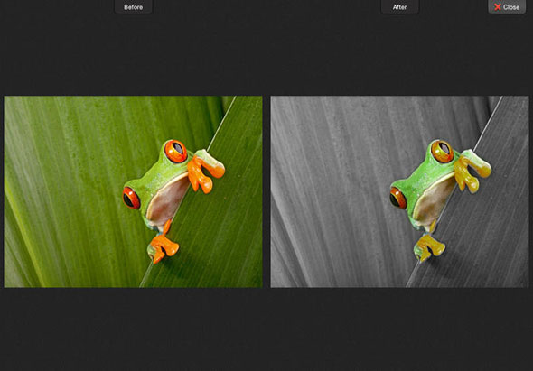 ColorStrokes 颜色飞溅工作室 2.4 for Mac|Mac版下载 | 