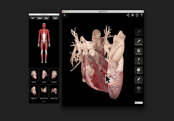 Heart Pro III 3.8 for Mac|Mac版下载 | 