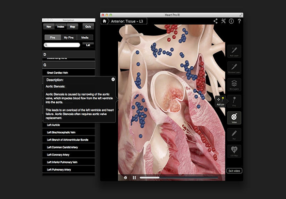 Heart Pro III 3.8 for Mac|Mac版下载 | 