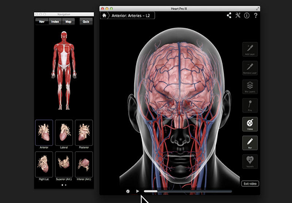 Heart Pro III 3.8 for Mac|Mac版下载 | 