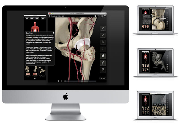 Hip Pro III with Animations 3.8 for Mac|Mac版下载 | 