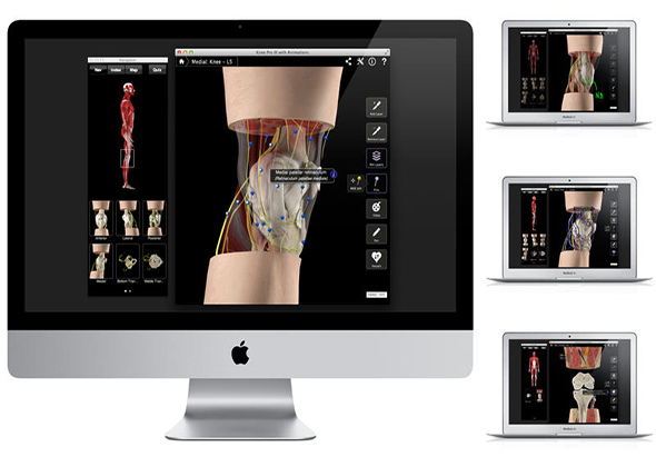 Knee Pro III with Animations 3.8 for Mac|Mac版下载 | 