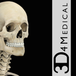 Skeletal System Pro III 骨骼系统模拟软件 3.8 for Mac|Mac版下载 | 