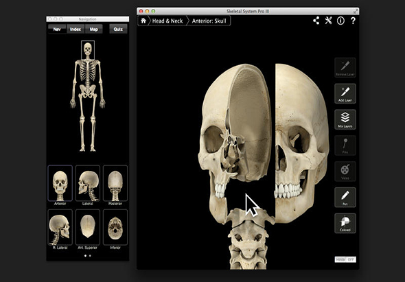 Skeletal System Pro III 骨骼系统模拟软件 3.8 for Mac|Mac版下载 | 