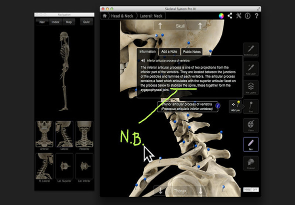 Skeletal System Pro III 骨骼系统模拟软件 3.8 for Mac|Mac版下载 | 