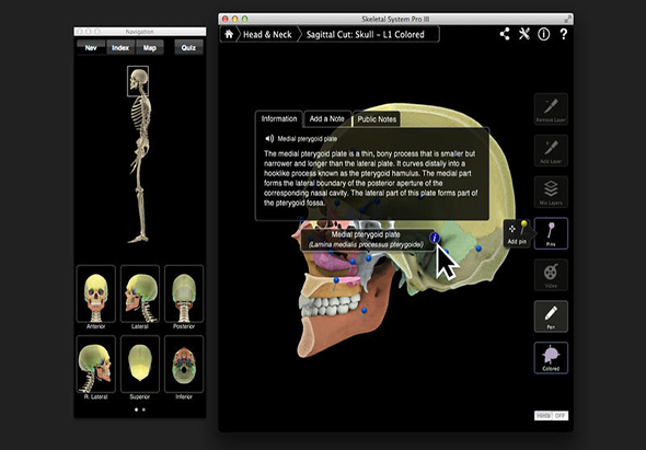 Skeletal System Pro III 骨骼系统模拟软件 3.8 for Mac|Mac版下载 | 