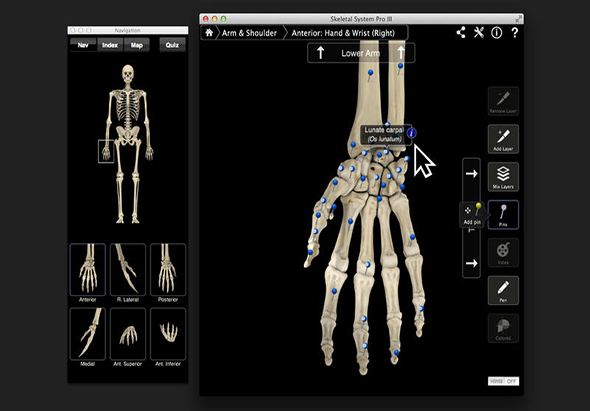 Skeletal System Pro III 骨骼系统模拟软件 3.8 for Mac|Mac版下载 | 