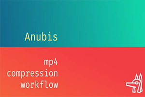 MP4视频格式快速渲染输出AE/PR/PS/AN插件 Anubis V1.0.4 Win/Mac下载-1