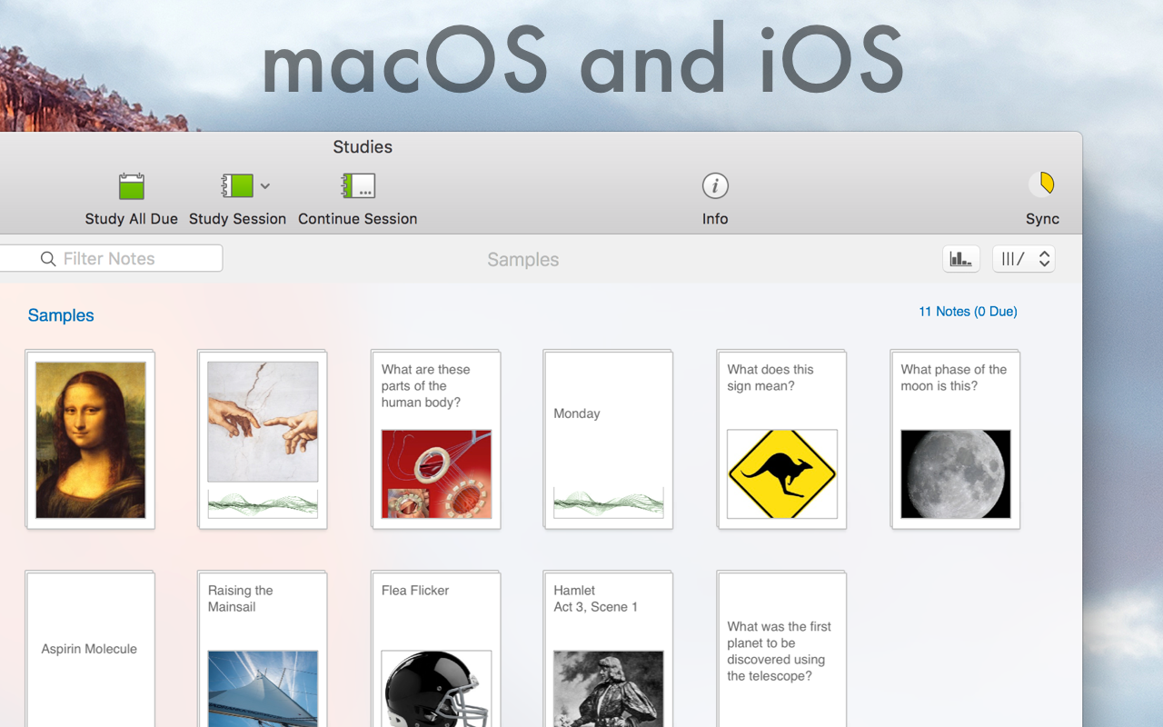 Studies 1.8.6 Mac 破解版 优秀的抽认卡制作工具