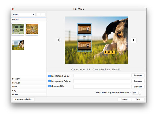 Tipard DVD Creator 3.2.36.118988 Mac 破解版 DVD 刻录工具