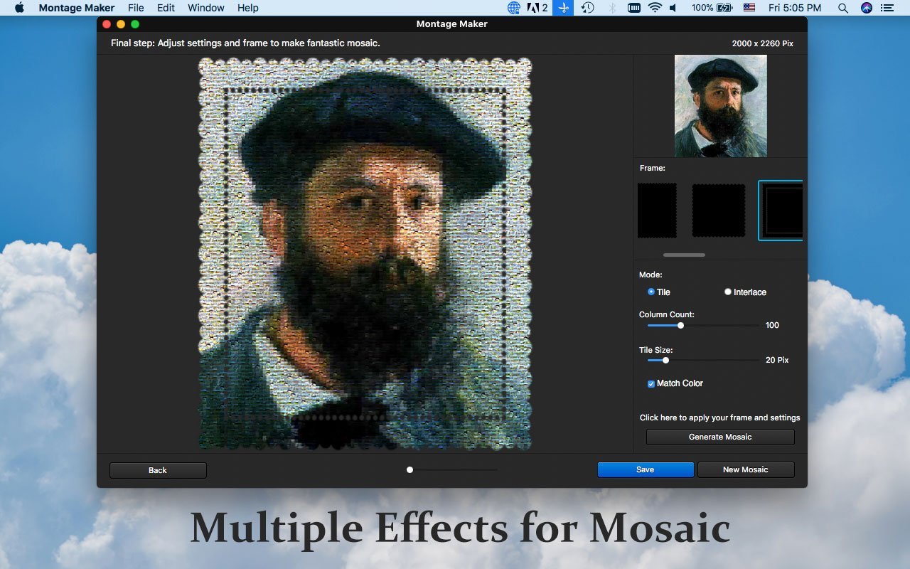 WidsMob Montage 2.24 Mac 破解版 - 优秀的蒙太奇图片制作应用
