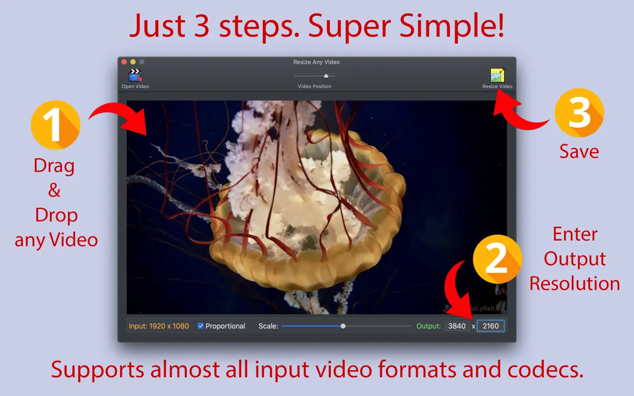Resize Any Video 2.0 Mac 破解版 Mac视频大小调整软件