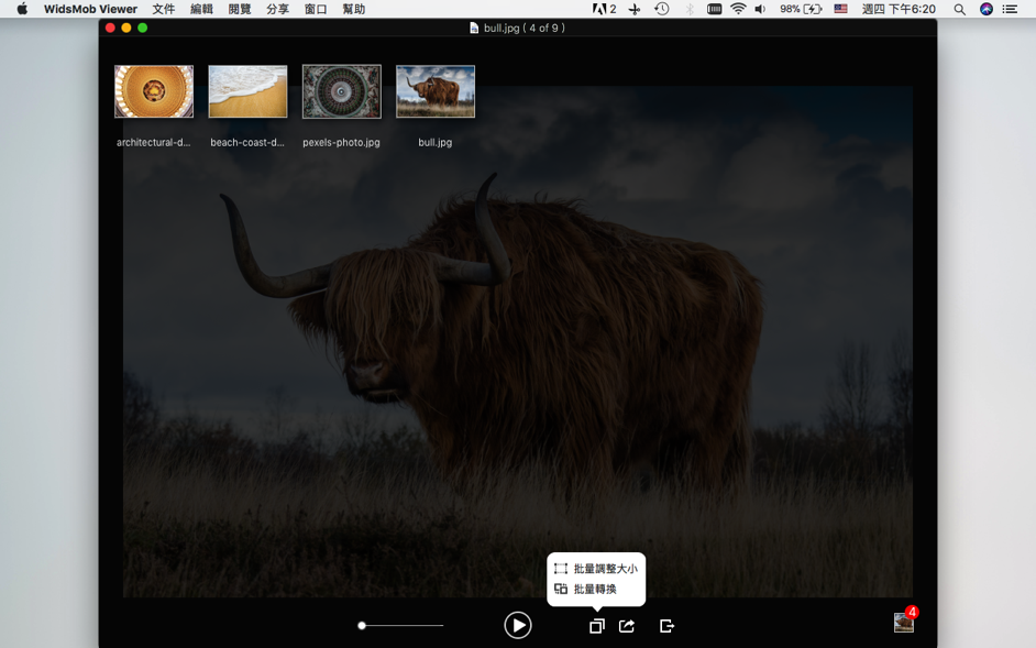 WidsMob Viewer Pro 2.18 Mac 破解版 图片浏览和编辑应用