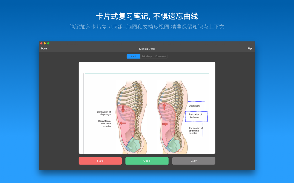 MarginNote 3.5.9 Mac 破解版 一款会重塑学习方式的阅读笔记工具