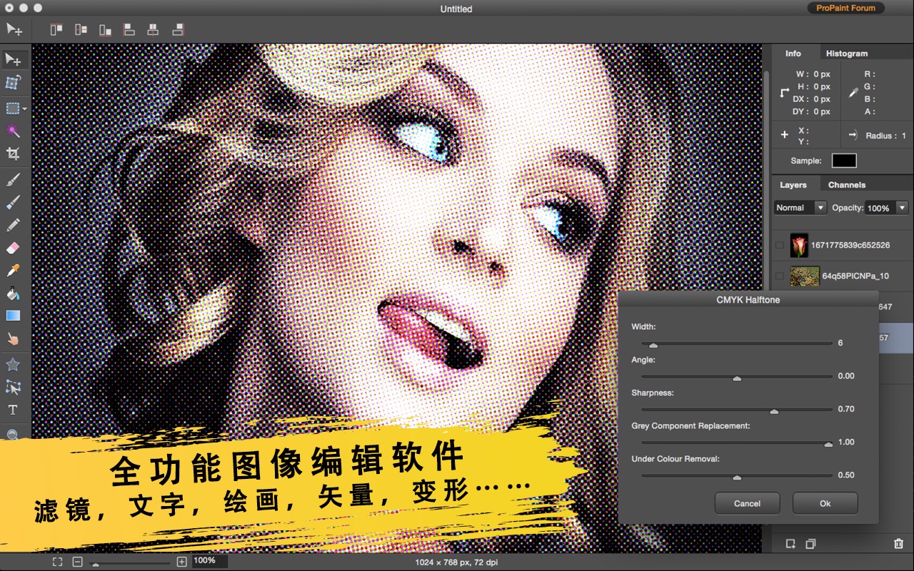 ProPaint图片编辑和绘画工具 3.7.0 Mac 中文破解版 修图滤镜特效和图像设计